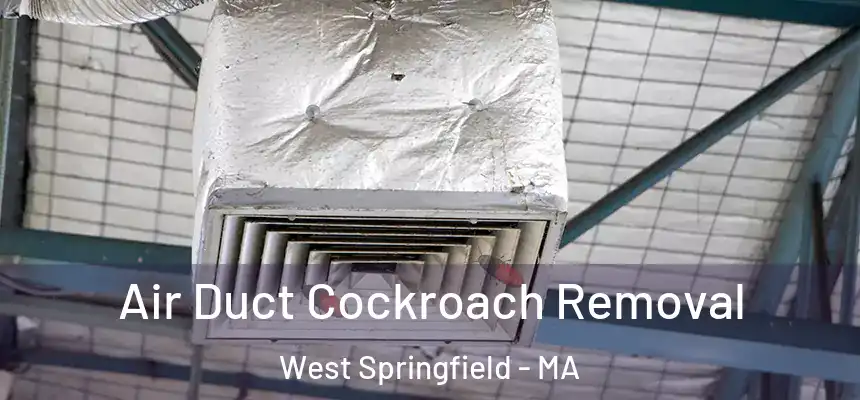 Air Duct Cockroach Removal West Springfield - MA