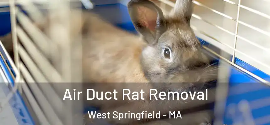  Air Duct Rat Removal West Springfield - MA