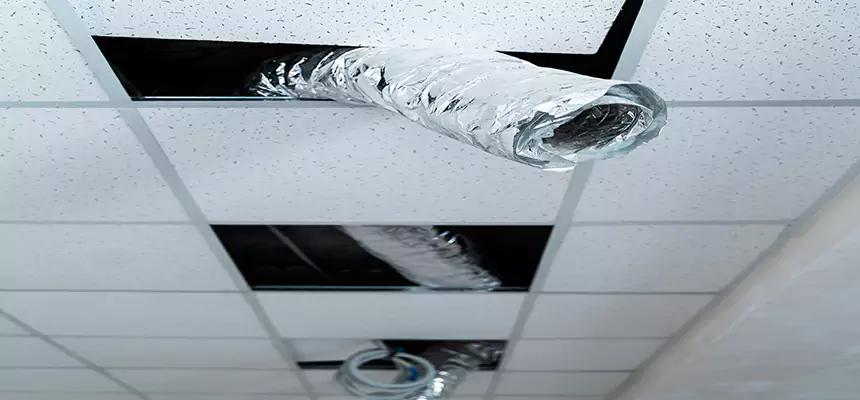 Our Air Duct Pet Hair Removal Services in West Springfield, MA