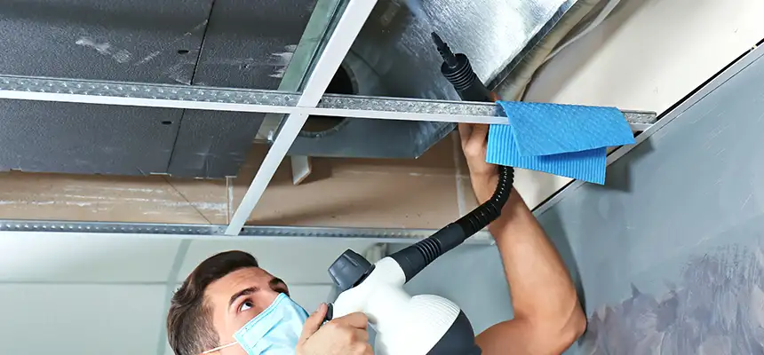 Our Air Duct Rodent Removal Services in West Springfield, MA