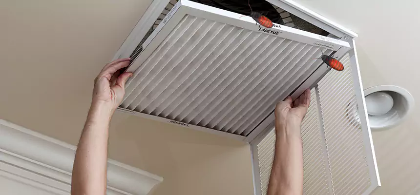 Our Insect Removal from Air Ducts Services in West Springfield, MA