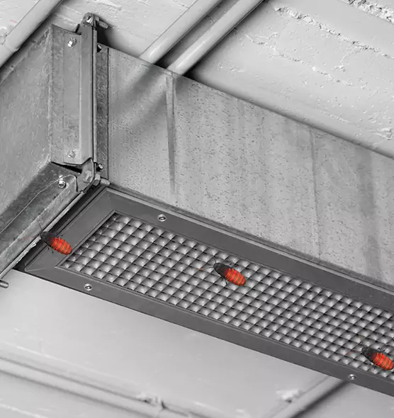 About Air Duct Cockroach Removal in West Springfield, MA