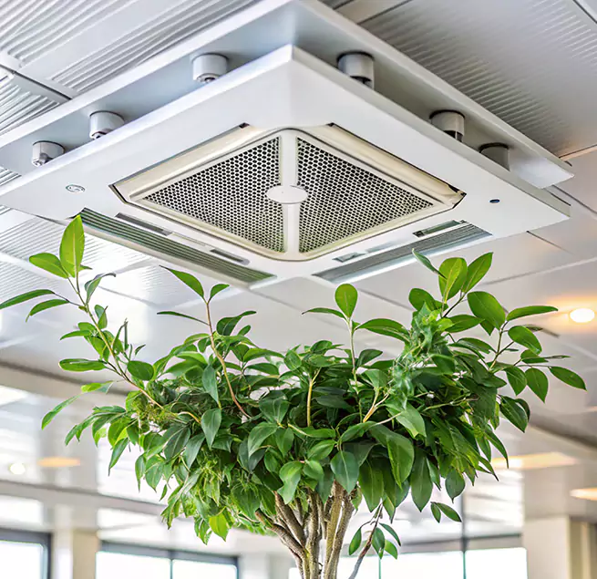 Why Homeowners & Businesses Trust Us in West Springfield, MA?