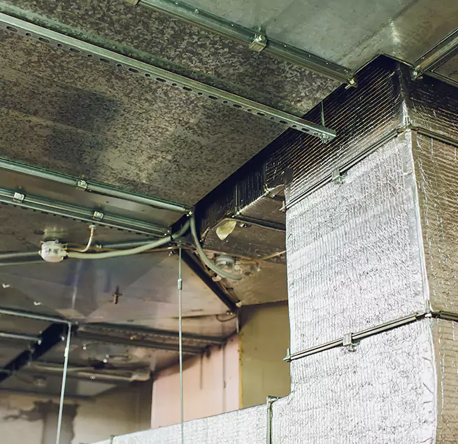 Why Homeowners & Businesses Trust Us in West Springfield, MA?